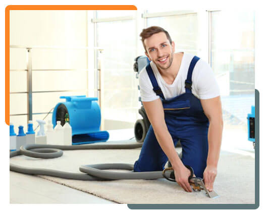 Professional Carpet Cleaning in Brisbane