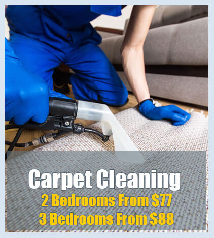 Carpet Cleaning Adelaide