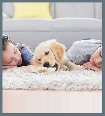 Carpet Cleaning Adelaide